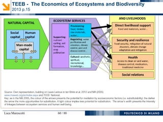 Luca Marescotti 60 / 88
TEEB - The Economics of Ecosystems and Biodiversity
2013 p.15
 