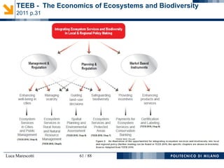 Luca Marescotti 61 / 88
TEEB - The Economics of Ecosystems and Biodiversity
2011 p.31
 