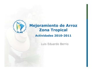 Mejoramiento de Arroz
    Zona Tropical
  Actividades 2010-2011


     Luis Eduardo Berrio
 