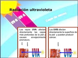 Radiación ultravioleta
Los rayos UVA afectan
directamente las capas
más profundas de la piel y
causan envejecimiento
prematuro.
Los UVB afectan
directamente la superficie de
la piel y pueden producir
cáncer.
 