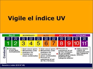 Vigile el índice UV
 