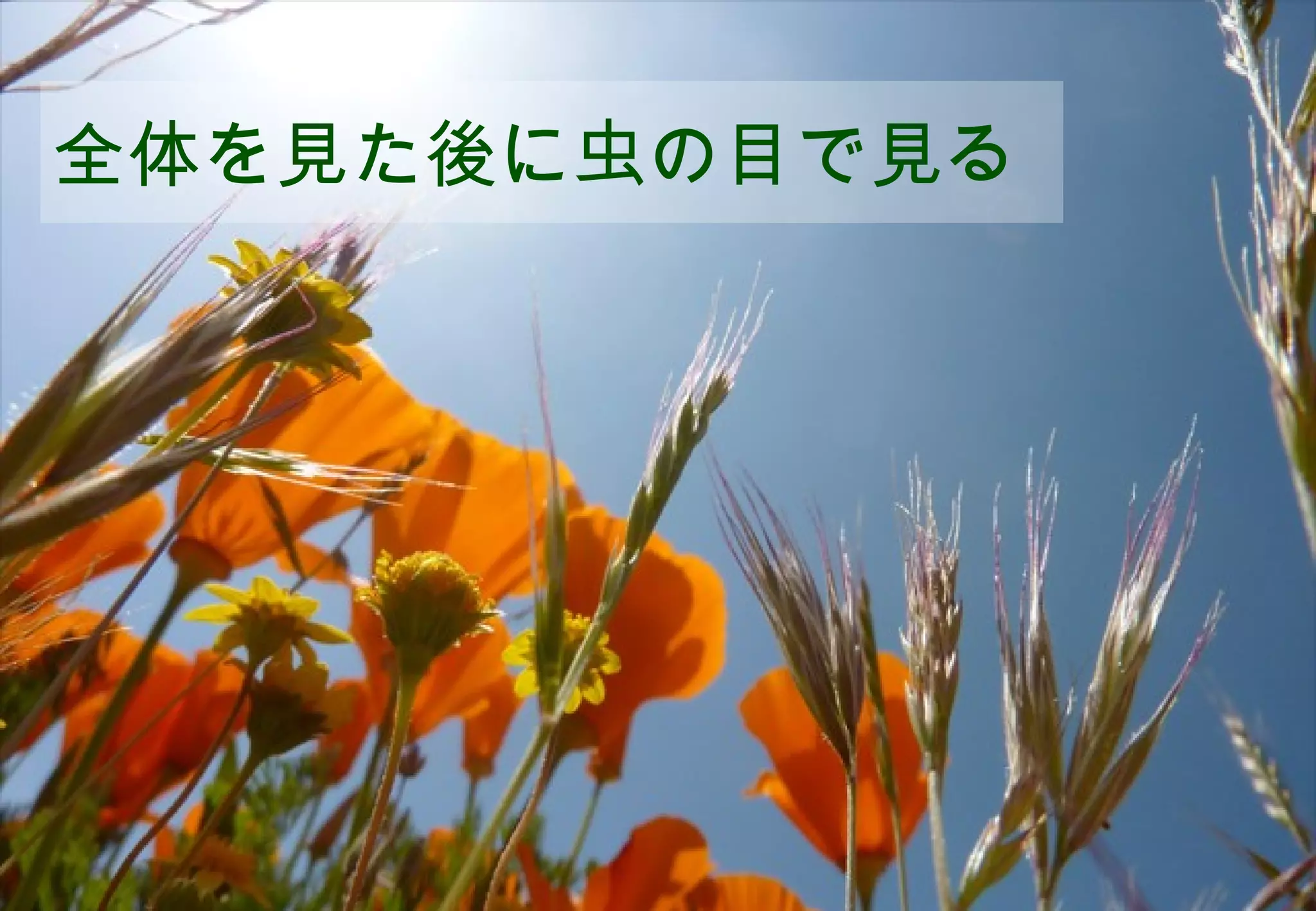 全体を見た後に虫の目で見る




              ©2008 Your Company or name All Rights Reserved. | Proprietary and Confidential
8
 