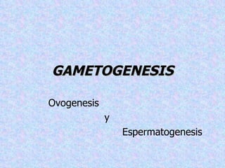 GAMETOGENESIS Ovogenesis  y Espermatogenesis 