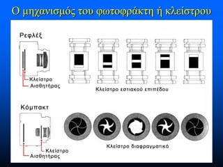Ο μηχανισμός του φωτοφράκτη ή κλείστρου

 