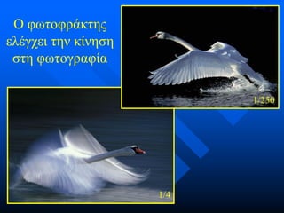 Ο φωτοφράκτης
ελέγχει την κίνηση
στη φωτογραφία
1/250

1/4

 