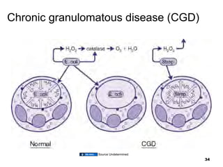 01.12.09: Myeloid Cell Disorders | PDF