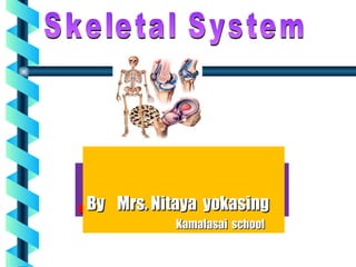 Biology  Class  ,[object Object],[object Object],Skeletal System 
