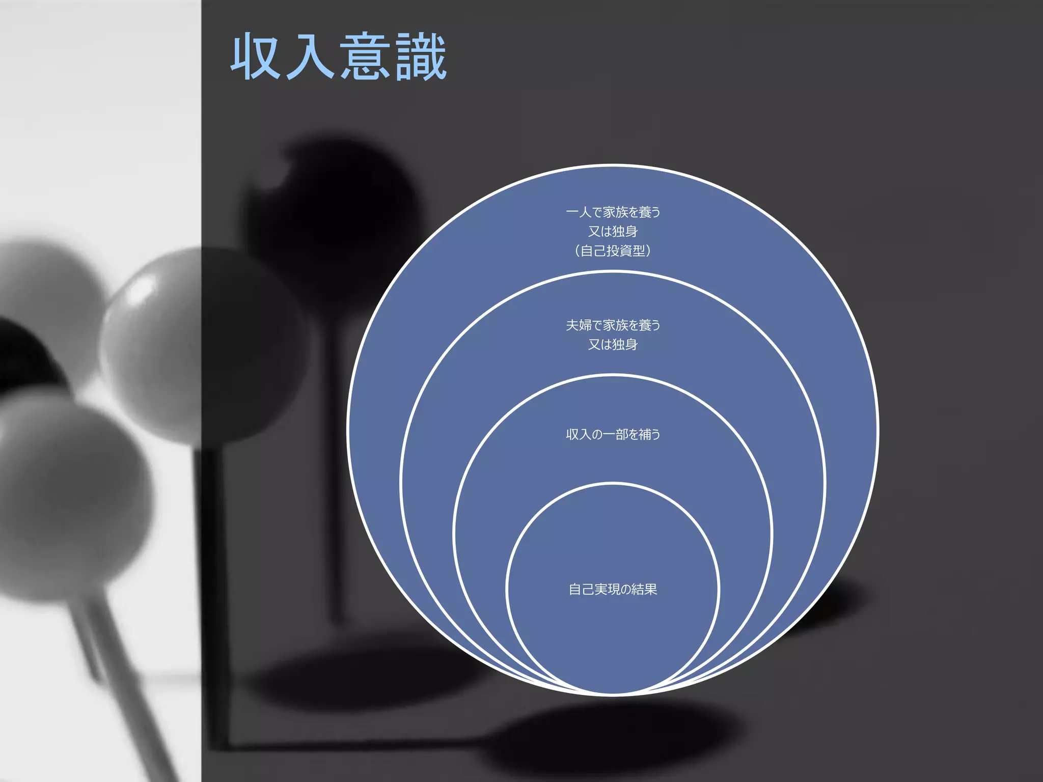 収入意識
一人で家族を養う
又は独身
（自己投資型）
夫婦で家族を養う
又は独身
収入の一部を補う
自己実現の結果
 