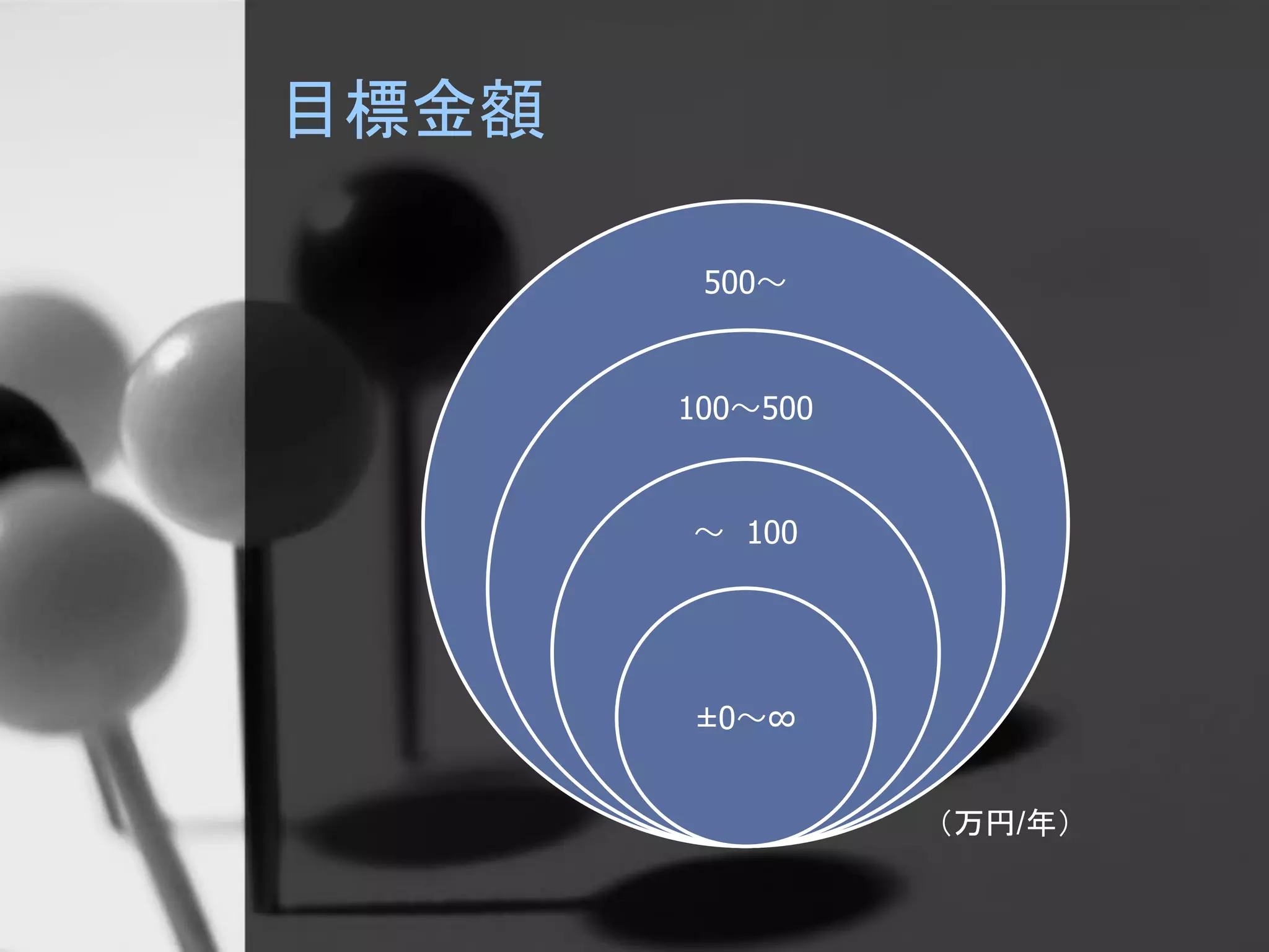 目標金額
500～
100～500
～ 100
±0～∞
（万円/年）
 