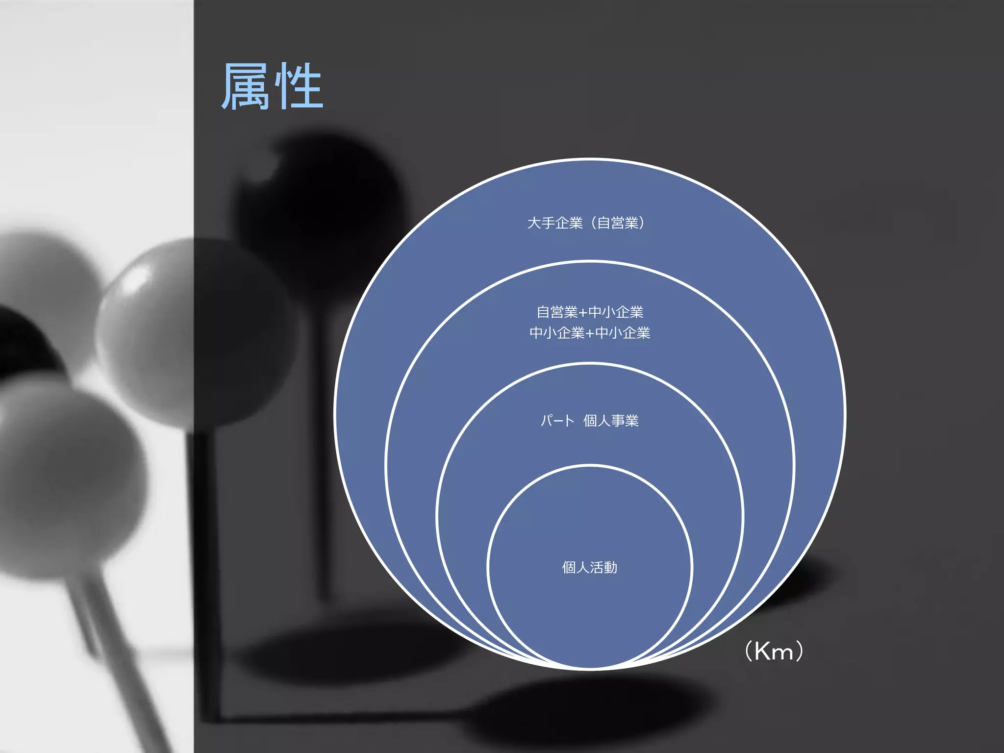 属性
大手企業（自営業）
自営業+中小企業
中小企業+中小企業
パート 個人事業
個人活動
（Kｍ）
 