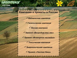 Кампании и проекты в России
Байкальская кампания
Генетическая кампания
Лесная кампания
Проект «Возродим наш лес»
Проект «Всемирное наследие»
Токсическая кампания
Энергетическая кампания
Проект «Чистая Нева»

 