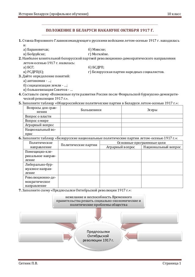 Политические сети и политические партии