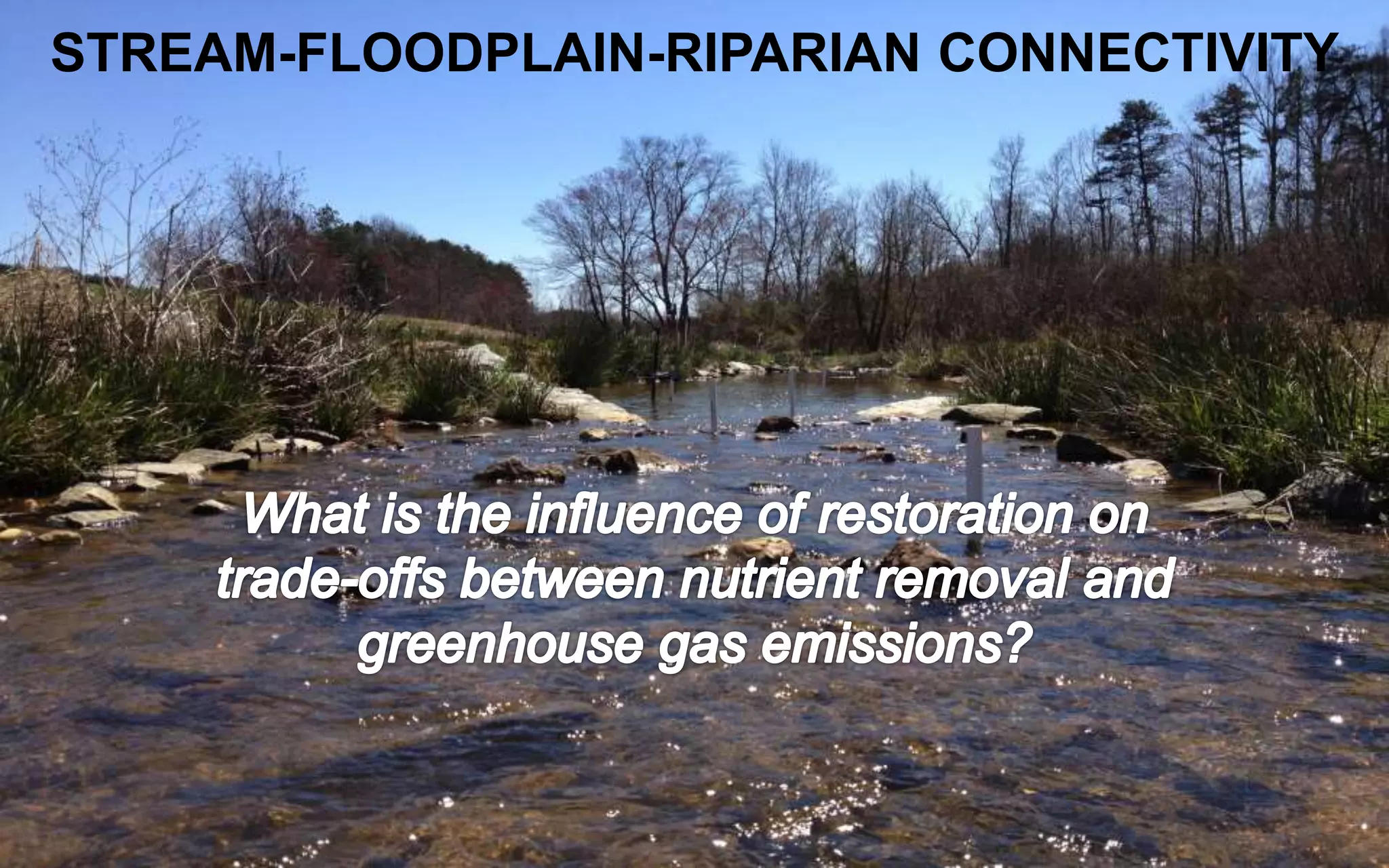 Impact of Agricultural Stream Restoration on Riparian Hydrology and ...