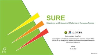 SURE
SUstaining and Enhancing REsilience of European Forests
Conference and Study Tour
Assessing the current losses and improving the economic analysis of the
costs of the on-going climate related catastrophic forestry events based on
international experience
Minsk
02.10.2018
sure.efi.int
 