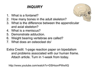 INQUIRY http://www.youtube.com/watch?v=DSHoonPWwXQ What is a fontanel? How many bones in the adult skeleton? What is the difference between the appendicular and axial skeleton? What is a meniscus? Demonstrate adduction. Weight bearing vertebrae are called? What does an osteoclast do/ Extra Credit: 1-page reaction paper on bipedalism and problems associated with our human frame. Attach article. Turn in 1-week from today. 