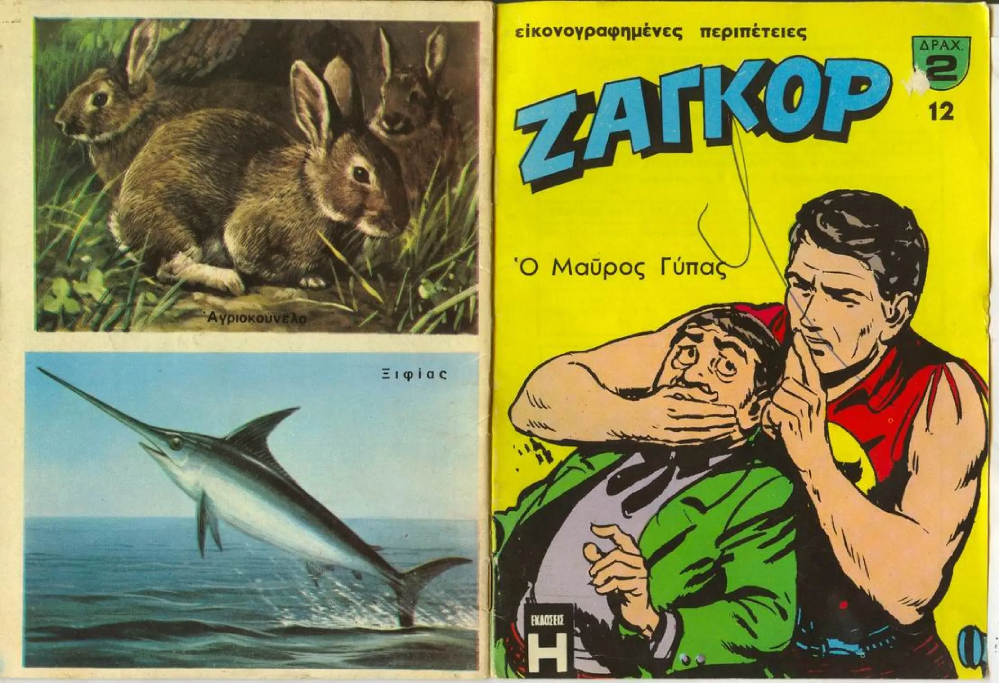 Ζαγκόρ 012