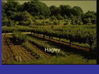 Hagley