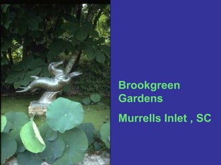 Brookgreen Gardens  Murrells Inlet , SC