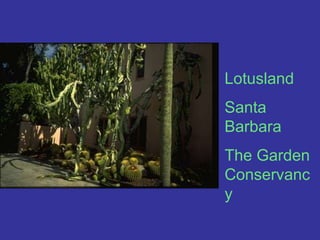 Lotusland Santa BarbaraThe Garden Conservancy