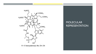 MOLECULAR
REPRESENTATION
 
