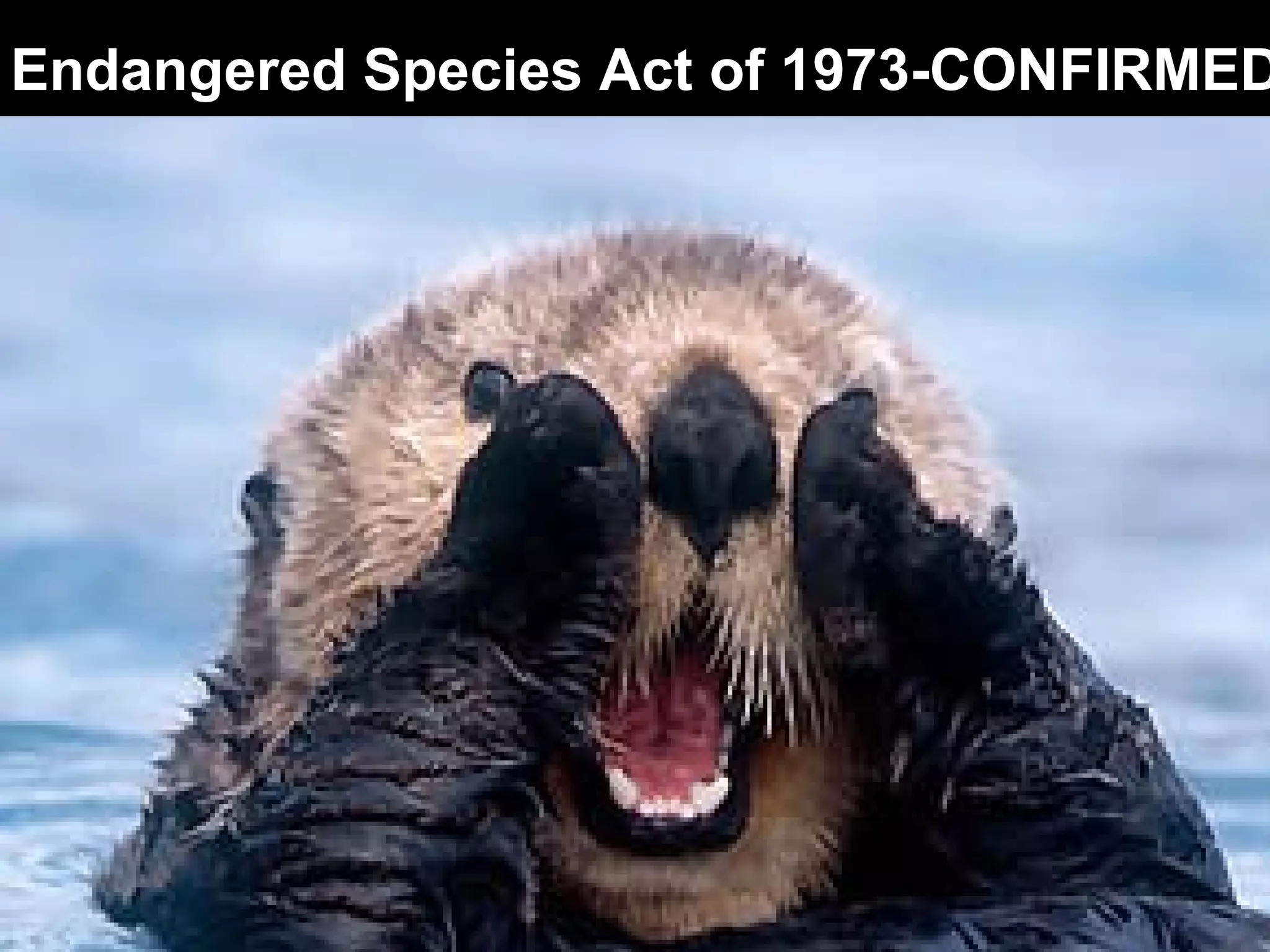 Endangered Species Act of 1973-CONFIRMED 