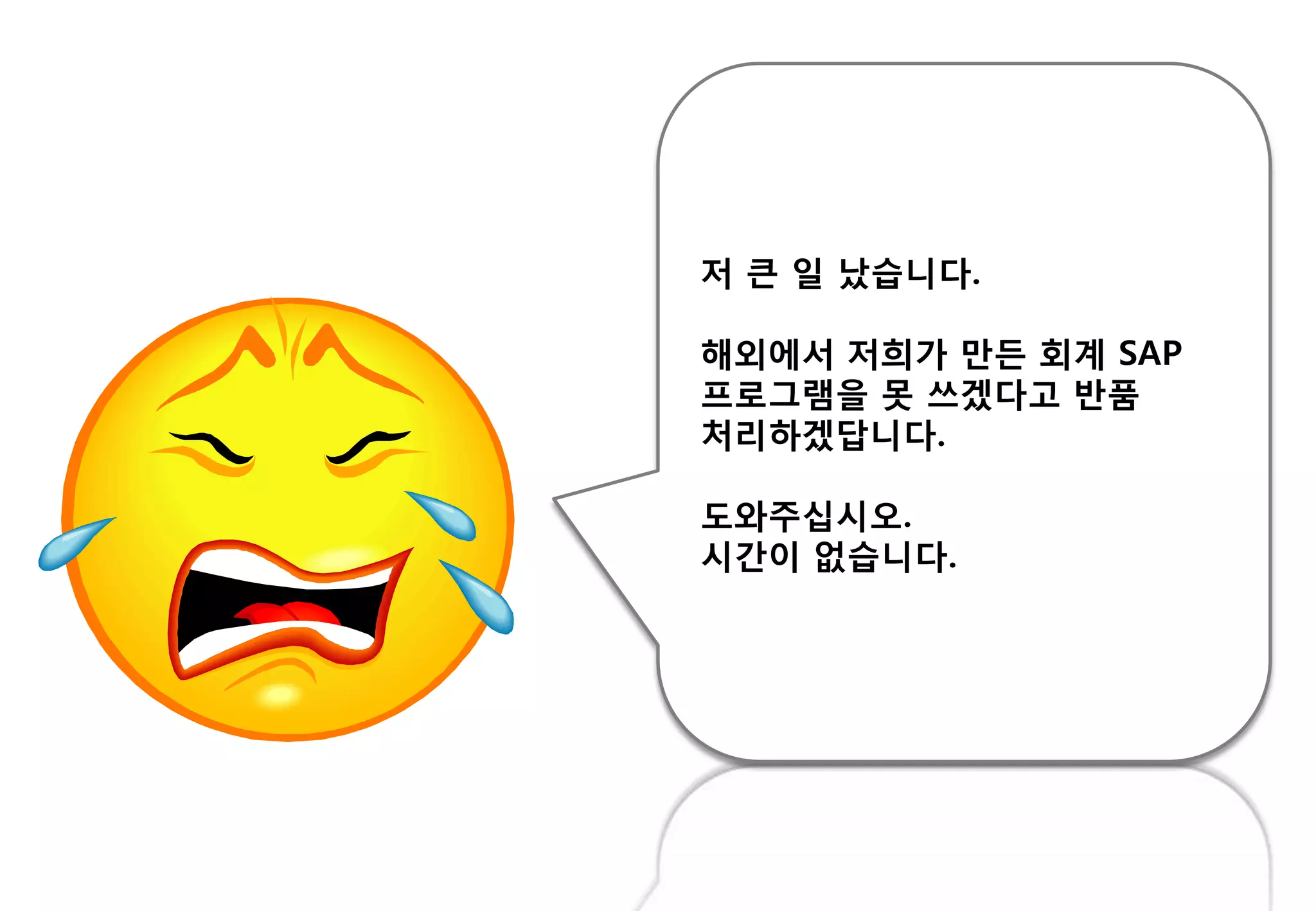 저 큰 읷 났습니다.
해외에서 저희가 만든 회계 SAP
프로그램을 못 쓰겠다고 반품
처리하겠답니다.
도와주십시오.
시갂이 없습니다.
 
