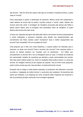www.aptaregional.sp.gov.br
ISSN 2316-5146
Pesquisa & Tecnologia, vol. 11, n. 1, Jan-Jun 2014
das árvores... Não há morte dos capins e tão logo se normaliza a frequência hídrica, o pasto
volta ao “normal”.
Outra observação é quanto à distribuição do pastoreio. Mesmo sendo bem pastoreado o
capim debaixo da árvore não se acaba e quando começa a “sobrar” capim, debaixo das
árvores está mais verde. A reciclagem de nitrogênio provocada pela derriça das folhas e
galhos devem liberar para as forragens uma quantidade maior de nitrogênio. O capim
debaixo das árvores fica mais verde.
A busca por respostas até agora não dada pela ciência, tem levado inúmeros pesquisadores
e varias instituições a buscarem respostas para atender aos questionamentos que
normalmente são feitos. Quanto custa? Compensa? Qual o melhor espaçamento das
árvores? Que variedades? Só com eucalipto dá certo?
Uma pergunta que é feita com muita frequência, e quando podem ser liberadas para o
pastoreio, as áreas com árvores? Qual o tamanho das árvores? Uma resposta prática, e
quando as plantas puderem ser “tocadas” sem se danificarem. Um hábito que,
principalmente os bovinos têm é de se esfregarem para se coçar. O Instituto de Zootecnia
tem apresentado modelos de coçadores que atendem a estas necessidades dos animais.
Nas fotos desta matéria podem ser vistos os resultados desta prática natural, e o porte das
árvores. Em estágios menores já são capazes de suportar, mas se forem muito pequenas,
podem sofres avarias que não mais permitam um desenvolvimento normal.
Enquanto não se chega a muitas destas respostas, os produtores vão utilizando e inovando
na prática a “adaptação da melhor técnica” e usufruindo dos resultados. Os benefícios são
quase que imediatos, e as respostas por certo, enquanto estão chegando vão comprovar o
que os produtores já estão usufruindo como vantagem agregada.
 