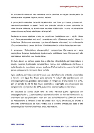 www.aptaregional.sp.gov.br
ISSN 2316-5146
Pesquisa & Tecnologia, vol. 12, n. 1, Jan-Jun 2015
As práticas culturais usuais são: controle de plantas daninhas, adubações de solo, podas de
formação e de limpeza e irrigação, quando precisar.
A produção da aceroleira depende da polinização das flores por insetos polinizadores,
destacando-se abelhas do gênero Centris spp. Indica-se, também, o plantio intercalado de
mais de uma variedade de acerola para favorecer a polinização cruzada. As variedades
mais cultivadas no Estado são Olivier e Waldy-CATI.
Destacam-se como principais pragas os nematoides (Meloidogyne spp.), pulgão (Aphis
spp.), formigas cortadeiras (Atta spp.), percevejo vermelho (Crinocerus sanctus), bicudo do
botão floral (Anthonomus acerolae), cigarrinha (Bolbonata tuberculata), cochonilha parda
(Coccus hesperidium), mosca das frutas (Ceratitis capitata) e ortézia (Orthezia praelonga).
A antracnose (Colletotrichum gloesporioides); cercosporiose (Cercospora sp.); seca
descendente de ramos (Lasiodiplodia theobromae) e podridão de frutos (Rhizopus sp.), são
doenças que acometem esse tipo de planta.
Os frutos devem ser colhidos a cada dois ou três dias, retirando todos os frutos maduros e
aqueles mudando de coloração, manuseando os mesmos com cuidado para evitar lesões e
evitando deixá-los expostos ao sol após a colheita. Preferencialmente, encaminhar os frutos
para o processamento no mesmo dia da colheita.
Após a colheita, os frutos devem ser levados para o beneficiamento, onde são selecionados
e lavados com água fria. Frutos para consumo “in natura” são acondicionados em
embalagens plásticas, pesados e conservados sob refrigeração à temperatura de 7 a 8ºC,
por um período de até 10 dias. Frutos destinados à exportação são armazenados sob
congelamento à temperatura de –20ºC, que permite a conservação por mais tempo.
Os produtores de acerola atuam tanto de forma individual quanto organizados em
associação (Figura 1). A comercialização ocorre basicamente por meio de intermediários ou
diretamente para as agroindústrias locais e/ou para atacadistas como o CEAGESP (Central
de Abastecimento e Armazéns Gerais do Estado e São Paulo). Observa-se, no entanto, a
crescente comercialização de frutos verdes para a indústria farmacêutica, dada a alta
concentração de vitamina C nos frutos, ainda, não maduros.
 