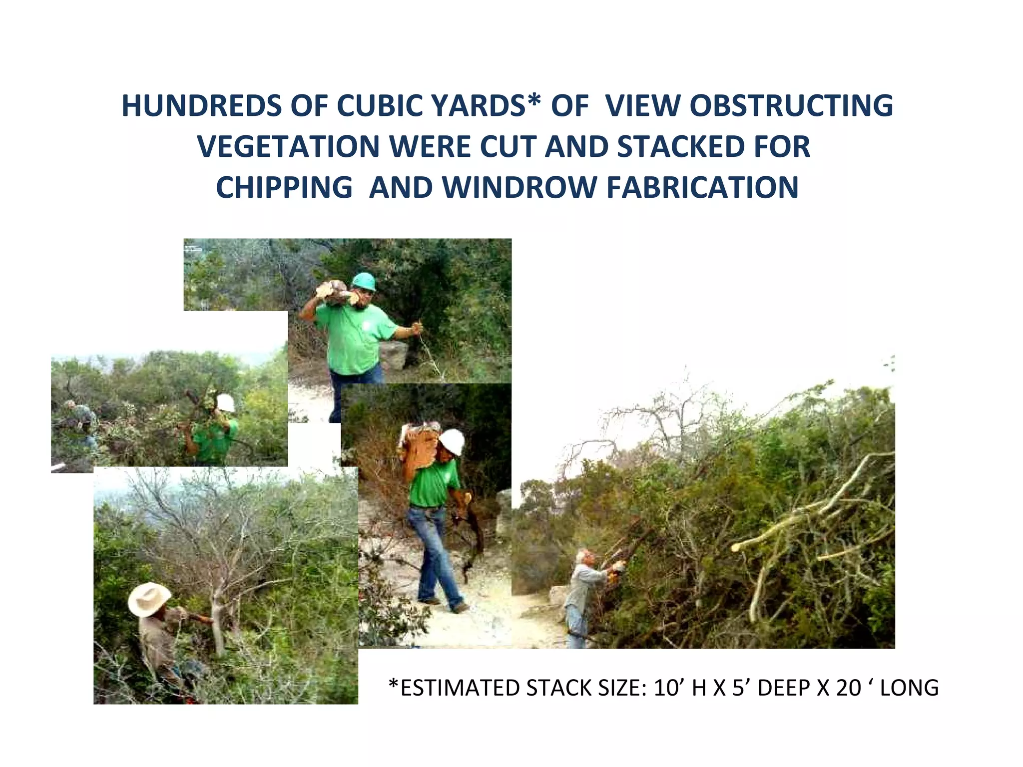 HUNDREDS OF CUBIC YARDS* OF  VIEW OBSTRUCTING  VEGETATION WERE CUT AND STACKED FOR  CHIPPING  AND WINDROW FABRICATION  *ESTIMATED STACK SIZE: 10’ H X 5’ DEEP X 20 ‘ LONG 