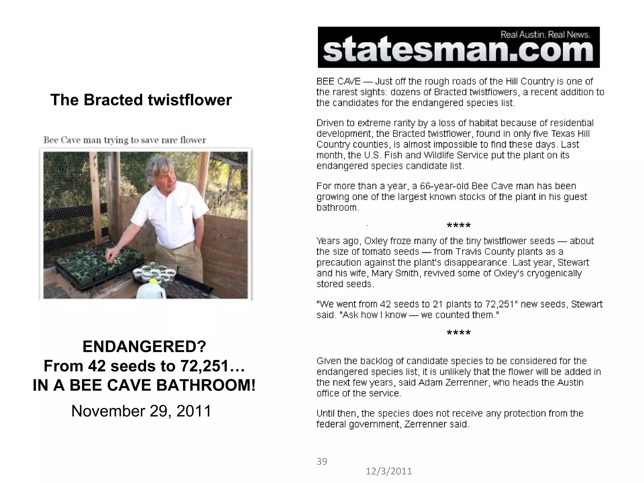 12/3/2011 ENDANGERED? From 42 seeds to 72,251… IN A BEE CAVE BATHROOM! The Bracted twistflower November 29, 2011 **** **** 