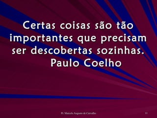 Certas coisas são tão importantes que precisam ser descobertas sozinhas. Paulo Coelho 