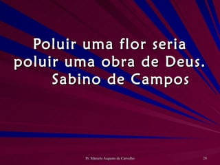 Poluir uma flor seria poluir uma obra de Deus. Sabino de Campos 