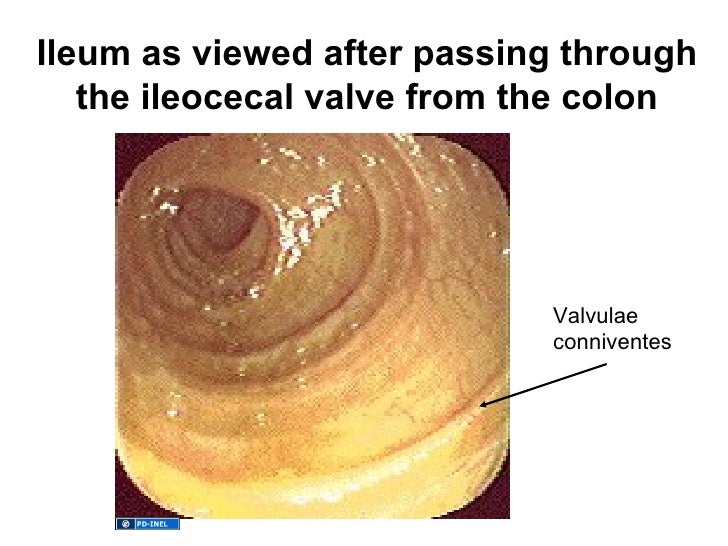 01.25.12 Introduction to M2 GI Sequence
