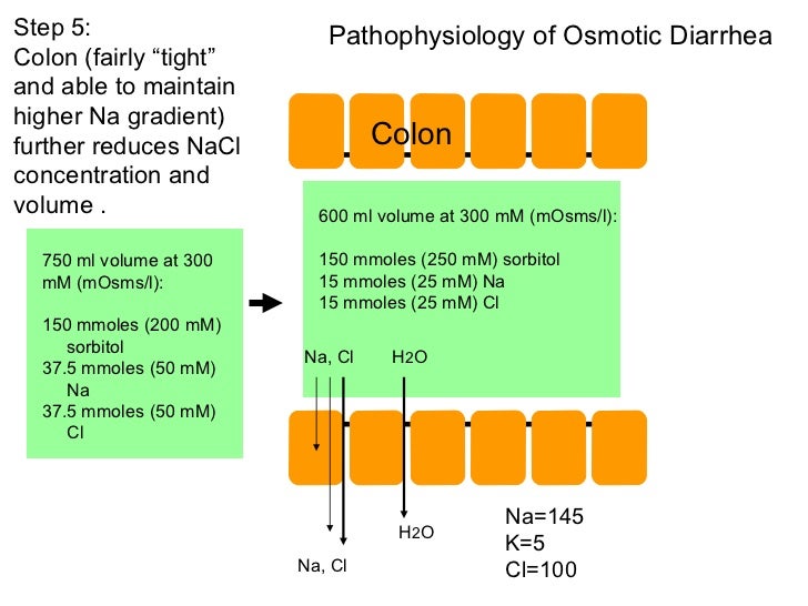 01.26.12 Diarrhea and Malabsorption