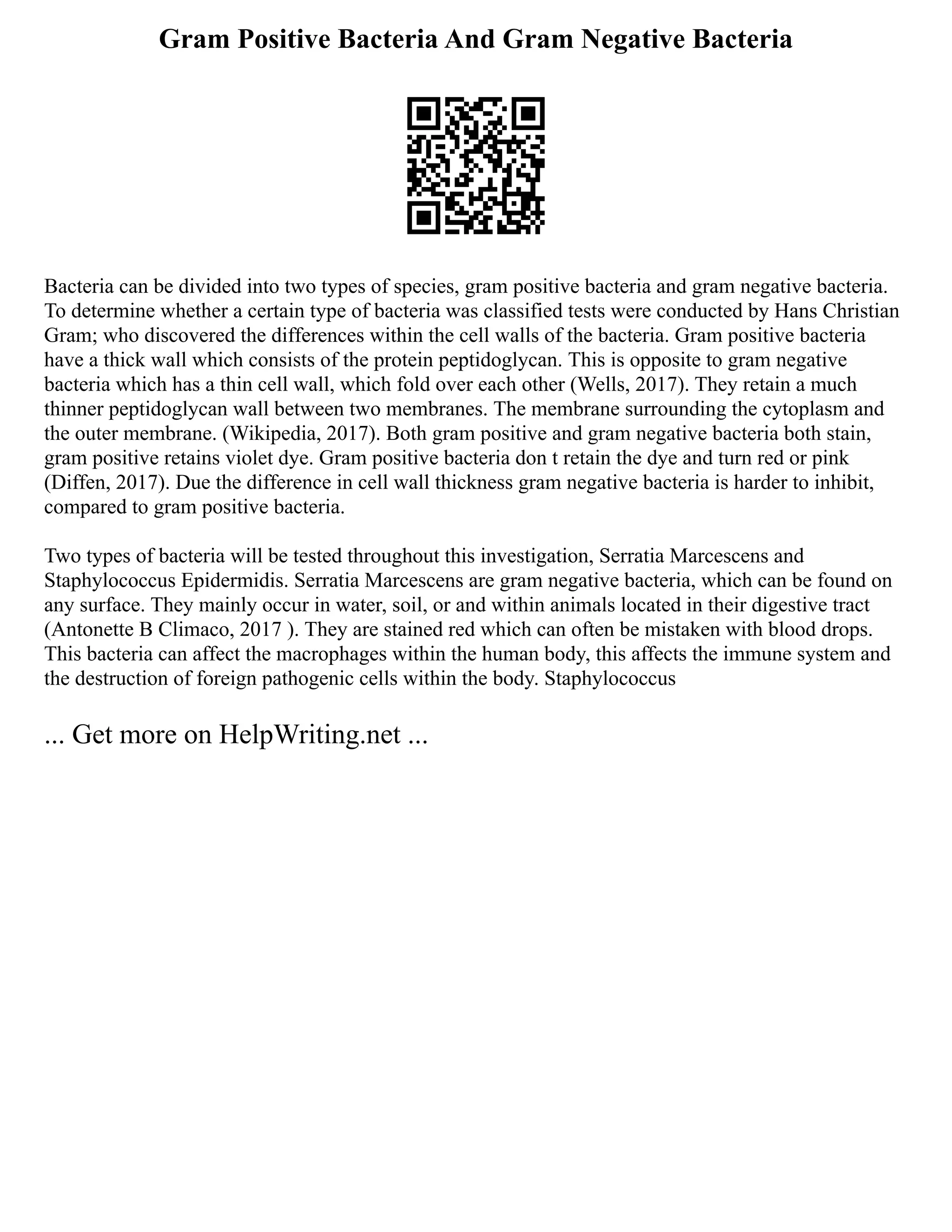 Gram Positive Bacteria And Gram Negative Bacteria
Bacteria can be divided into two types of species, gram positive bacteria and gram negative bacteria.
To determine whether a certain type of bacteria was classified tests were conducted by Hans Christian
Gram; who discovered the differences within the cell walls of the bacteria. Gram positive bacteria
have a thick wall which consists of the protein peptidoglycan. This is opposite to gram negative
bacteria which has a thin cell wall, which fold over each other (Wells, 2017). They retain a much
thinner peptidoglycan wall between two membranes. The membrane surrounding the cytoplasm and
the outer membrane. (Wikipedia, 2017). Both gram positive and gram negative bacteria both stain,
gram positive retains violet dye. Gram positive bacteria don t retain the dye and turn red or pink
(Diffen, 2017). Due the difference in cell wall thickness gram negative bacteria is harder to inhibit,
compared to gram positive bacteria.
Two types of bacteria will be tested throughout this investigation, Serratia Marcescens and
Staphylococcus Epidermidis. Serratia Marcescens are gram negative bacteria, which can be found on
any surface. They mainly occur in water, soil, or and within animals located in their digestive tract
(Antonette B Climaco, 2017 ). They are stained red which can often be mistaken with blood drops.
This bacteria can affect the macrophages within the human body, this affects the immune system and
the destruction of foreign pathogenic cells within the body. Staphylococcus
... Get more on HelpWriting.net ...
 