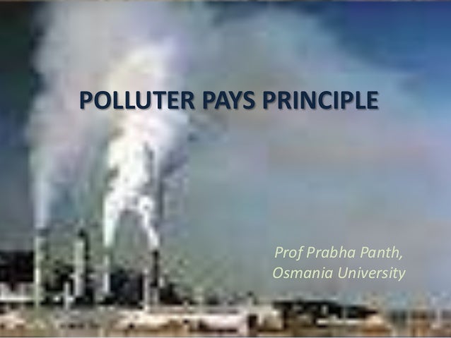 0 12 Polluter Pays Principle