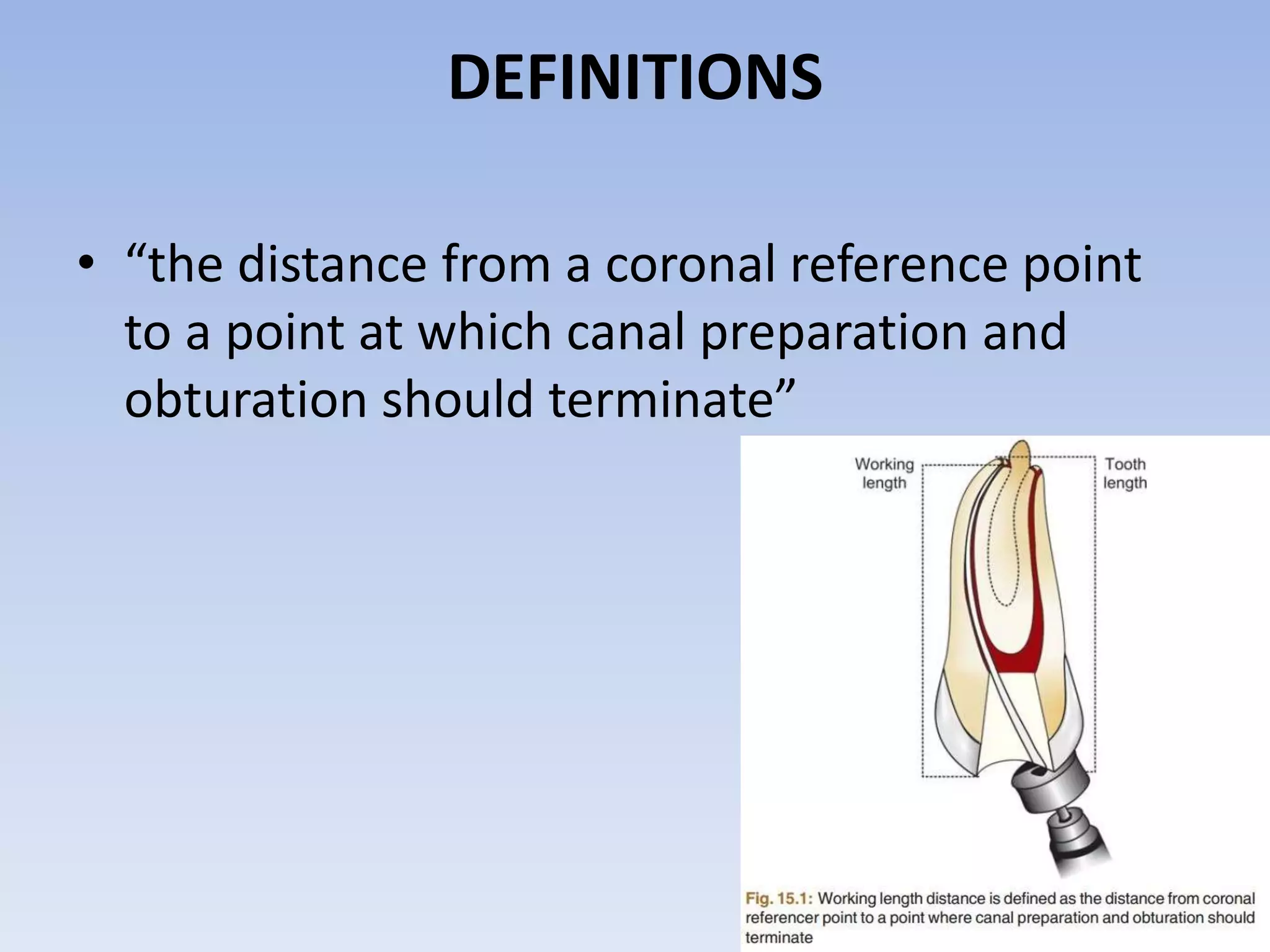 013.working length determination | PPTX