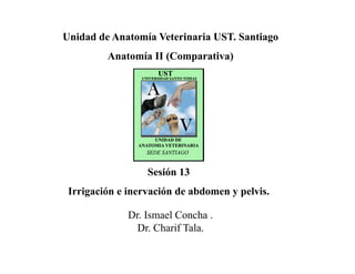 Sesión 13
Irrigación e inervación de abdomen y pelvis.
Unidad de Anatomía Veterinaria UST. Santiago
Anatomía II (Comparativa)
Dr. Ismael Concha .
Dr. Charif Tala.
 