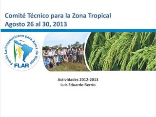 Comité Técnico para la Zona Tropical – Agosto 26 al 30, 2013
Actividades 2012-2013
Luis Eduardo Berrío
 