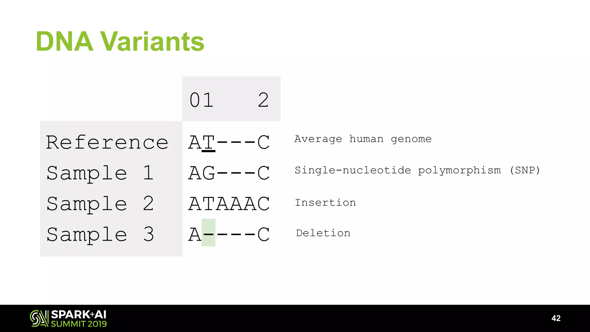 DNA Variants
AT---C
AG---C
ATAAAC
A----C
42
Reference
Sample 1
Sample 2
Sample 3
Average human genome
Single-nucleotide polymorphism (SNP)
Insertion
Deletion
01 2
 