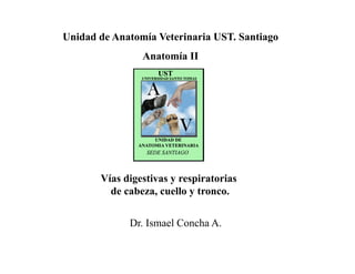 Vías digestivas y respiratorias
de cabeza, cuello y tronco.
Unidad de Anatomía Veterinaria UST. Santiago
Anatomía II
Dr. Ismael Concha A.
 