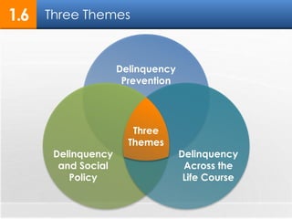 1.6 Three Themes 
Delinquency 
Prevention 
Three 
Themes 
Delinquency 
Across the 
Life Course 
Delinquency 
and Social 
Policy 
 