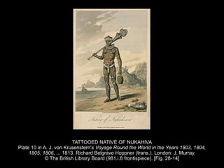 TATTOOED NATIVE OF NUKAHIVA
Plate 10 in A. J. von Krusenstern's Voyage Round the World in the Years 1803, 1804,
1805, 1806, ... 1813. Richard Belgrave Hoppner (trans.). London: J. Murray.
© The British Library Board (981.i.8 frontispiece). [Fig. 28-14]
 
