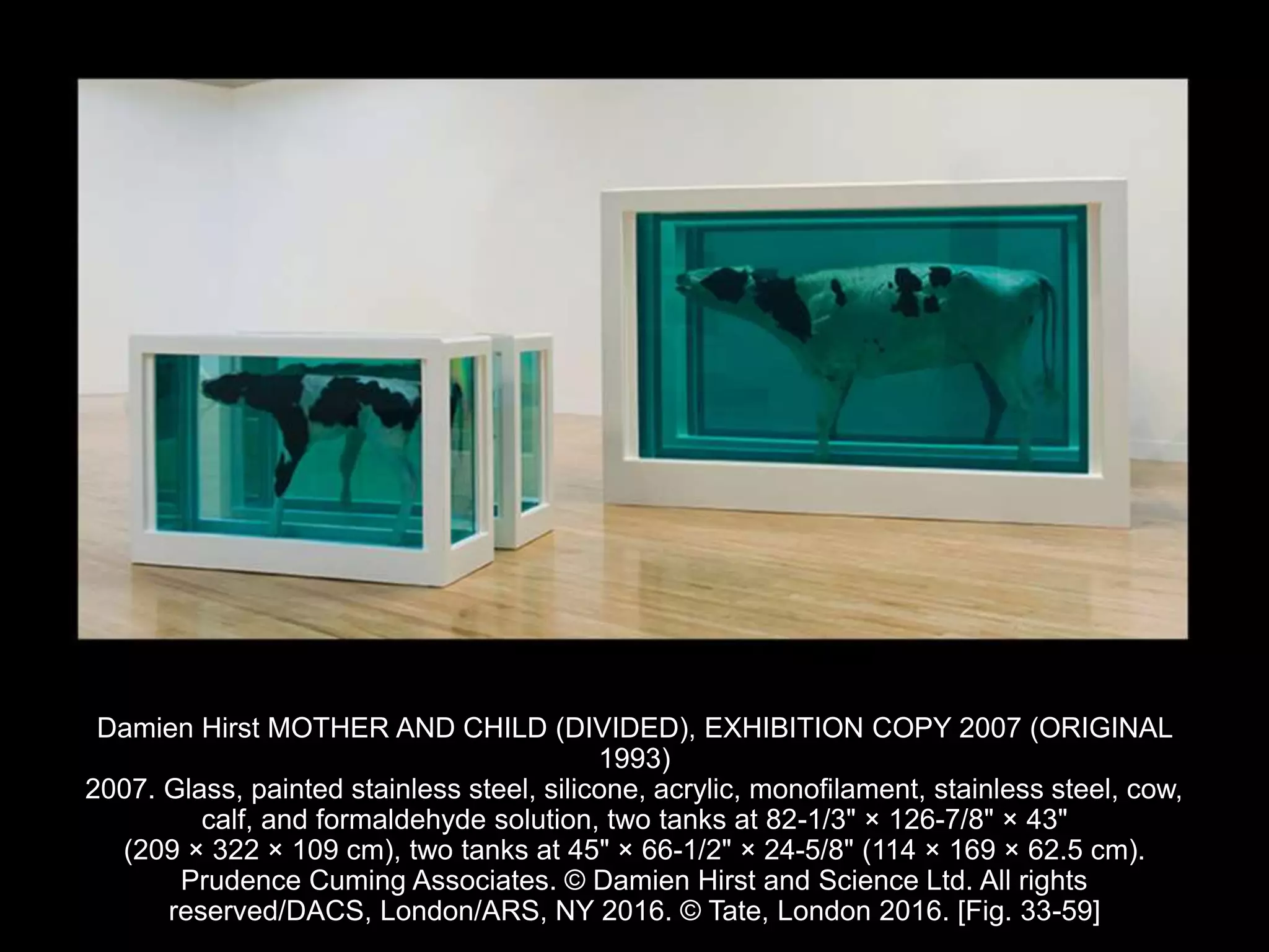 Damien Hirst MOTHER AND CHILD (DIVIDED), EXHIBITION COPY 2007 (ORIGINAL
1993)
2007. Glass, painted stainless steel, silicone, acrylic, monofilament, stainless steel, cow,
calf, and formaldehyde solution, two tanks at 82-1/3" × 126-7/8" × 43"
(209 × 322 × 109 cm), two tanks at 45" × 66-1/2" × 24-5/8" (114 × 169 × 62.5 cm).
Prudence Cuming Associates. © Damien Hirst and Science Ltd. All rights
reserved/DACS, London/ARS, NY 2016. © Tate, London 2016. [Fig. 33-59]
 