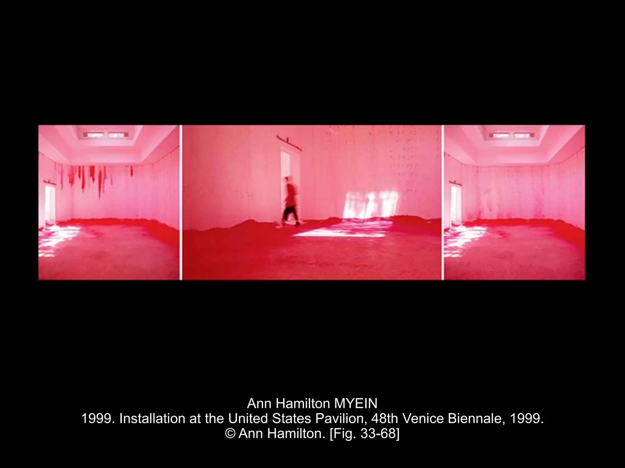 Ann Hamilton MYEIN
1999. Installation at the United States Pavilion, 48th Venice Biennale, 1999.
© Ann Hamilton. [Fig. 33-68]
 
