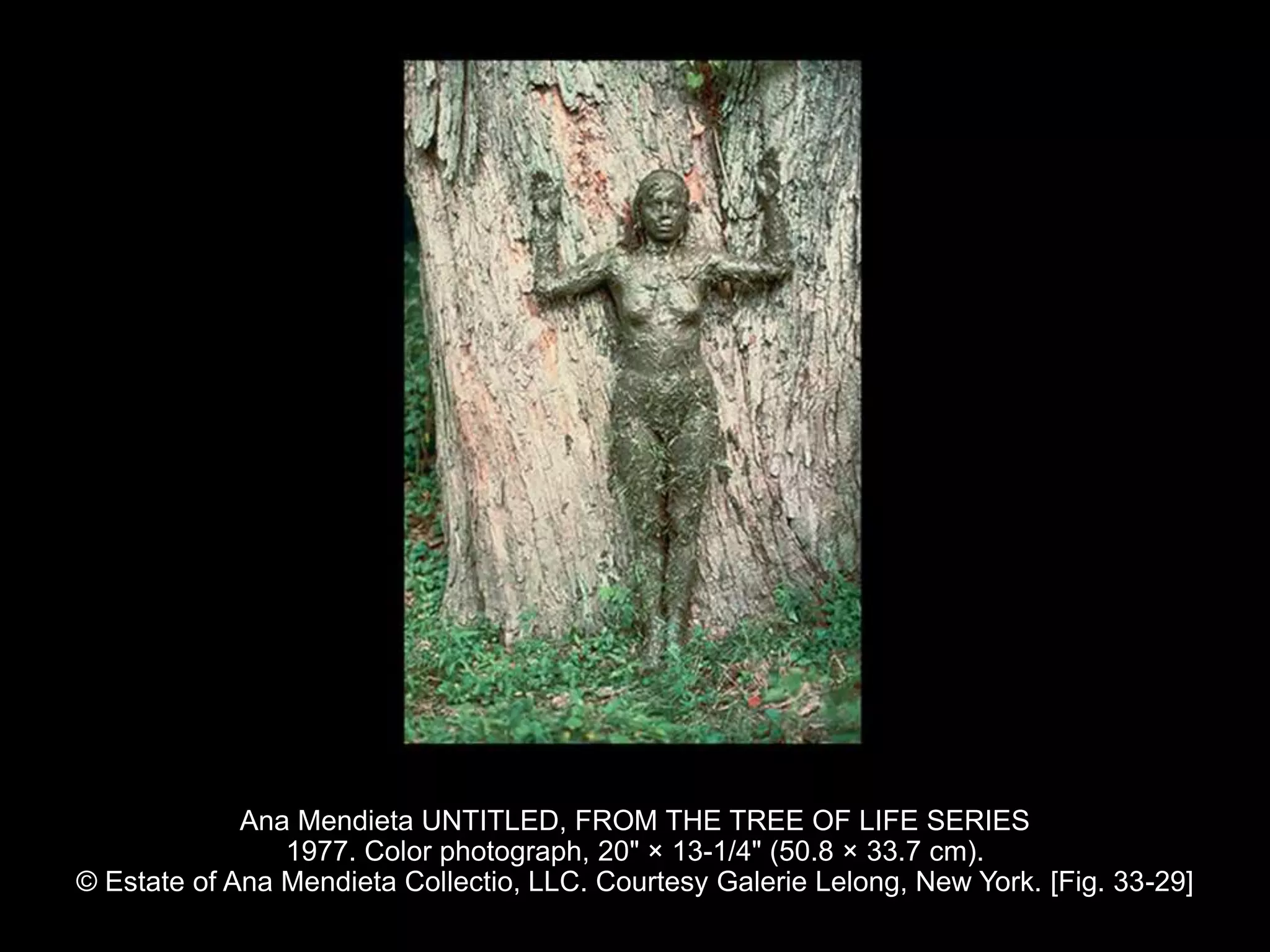 Ana Mendieta UNTITLED, FROM THE TREE OF LIFE SERIES
1977. Color photograph, 20" × 13-1/4" (50.8 × 33.7 cm).
© Estate of Ana Mendieta Collectio, LLC. Courtesy Galerie Lelong, New York. [Fig. 33-29]
 