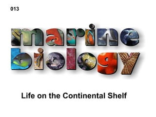 Life on the Continental Shelf
013
 