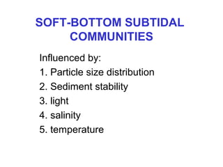 SOFT-BOTTOM SUBTIDAL
COMMUNITIES
Influenced by:
1. Particle size distribution
2. Sediment stability
3. light
4. salinity
5. temperature
 