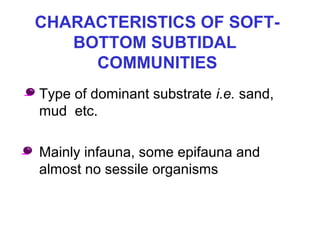 CHARACTERISTICS OF SOFT-
BOTTOM SUBTIDAL
COMMUNITIES
• Type of dominant substrate i.e. sand,
mud etc.
• Mainly infauna, some epifauna and
almost no sessile organisms
 
