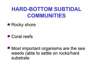 HARD-BOTTOM SUBTIDAL 
COMMUNITIES
• Rocky shore
• Coral reefs
• Most important organisms are the sea
weeds (able to settle on rocks/hard
substrate
 